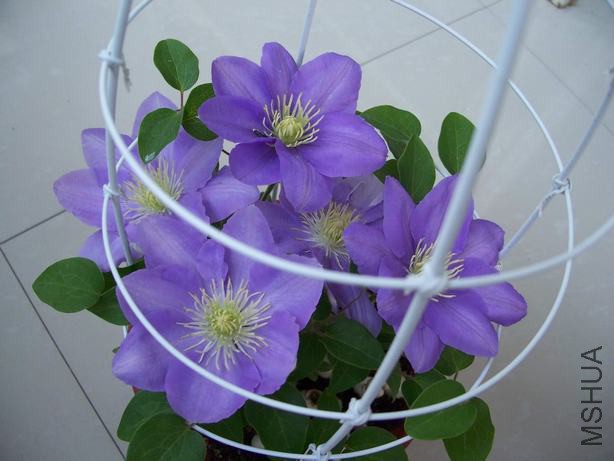 100_5573.JPG