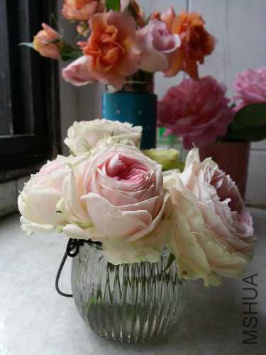 20150428_153128.jpg