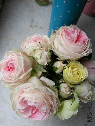 20150428_152954.jpg