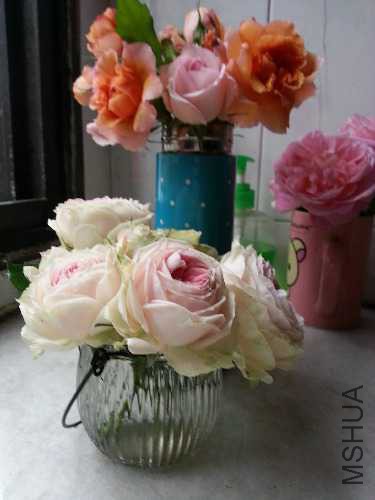 20150428_152932.jpg