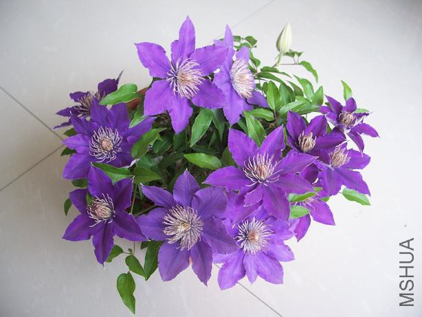 100_5584.JPG