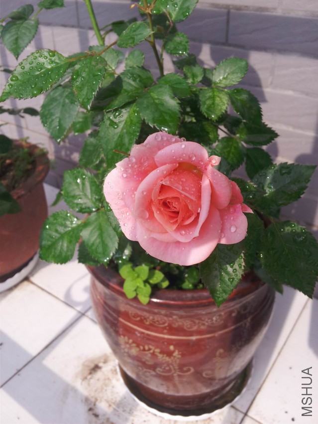 20150428_091050.jpg
