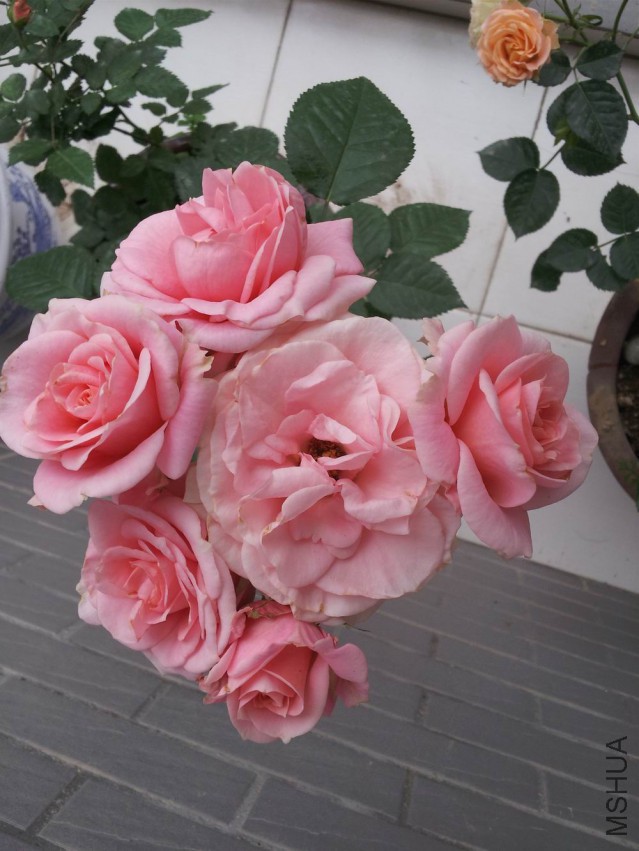 20150428_184732.jpg