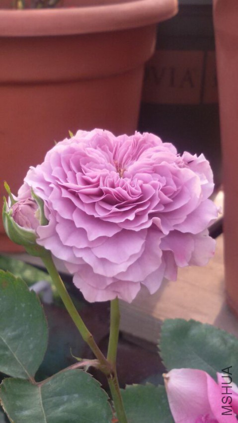 QQͼƬ20150429072557.jpg
