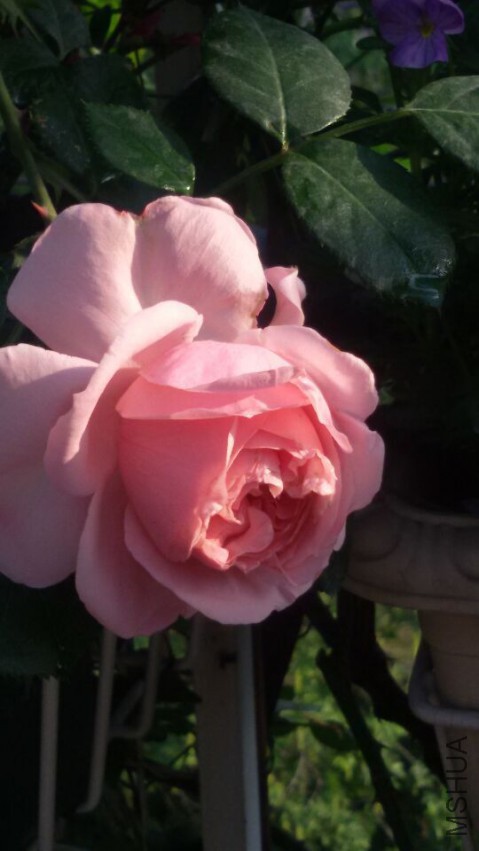 QQͼƬ20150429072617.jpg