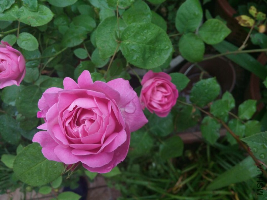 QQͼƬ20150429091119.jpg