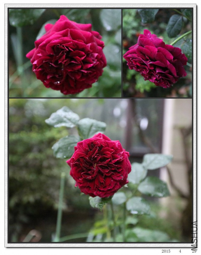 2015042903.jpg