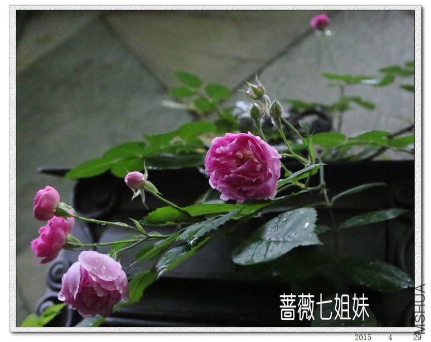 2015042901.jpg
