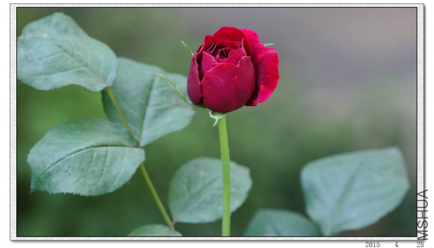 2015042806.jpg