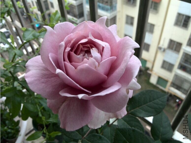QQͼƬ20150429085140.jpg