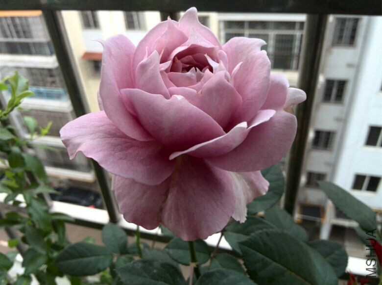 QQͼƬ20150429085117.jpg