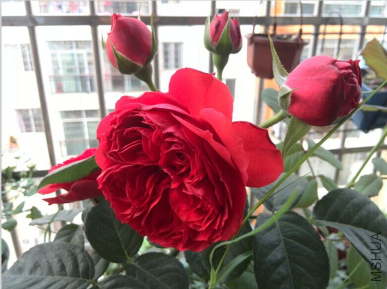QQͼƬ20150429085424.jpg