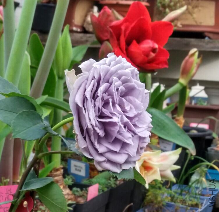 QQͼƬ20150429084820.jpg