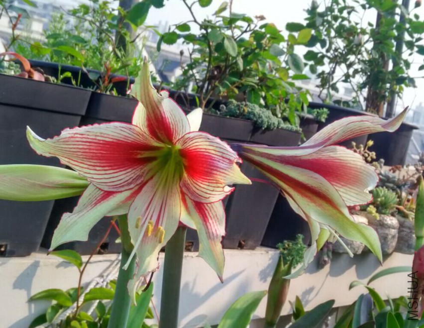 QQͼƬ20150428095247.jpg