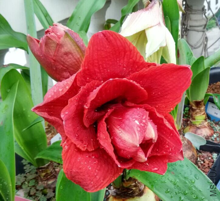 QQͼƬ20150429084839.jpg
