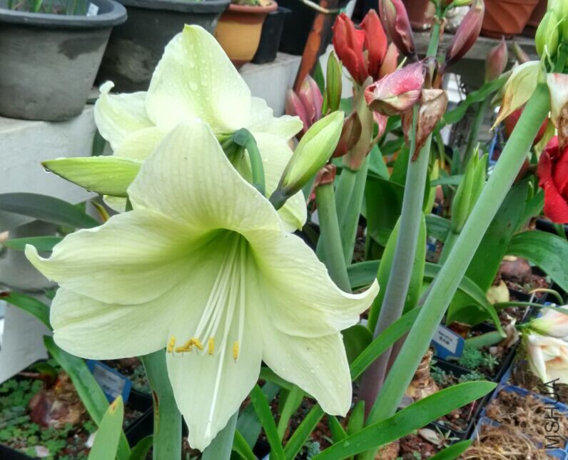 QQͼƬ20150429084930.jpg