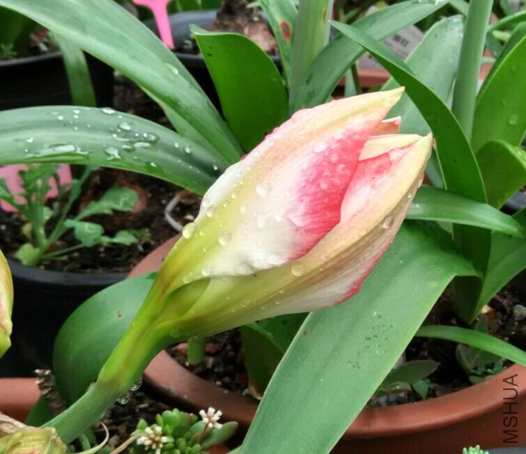 QQͼƬ20150429085156.jpg