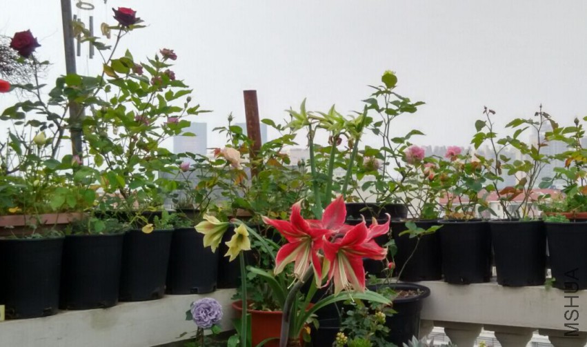 QQͼƬ20150429085434.jpg