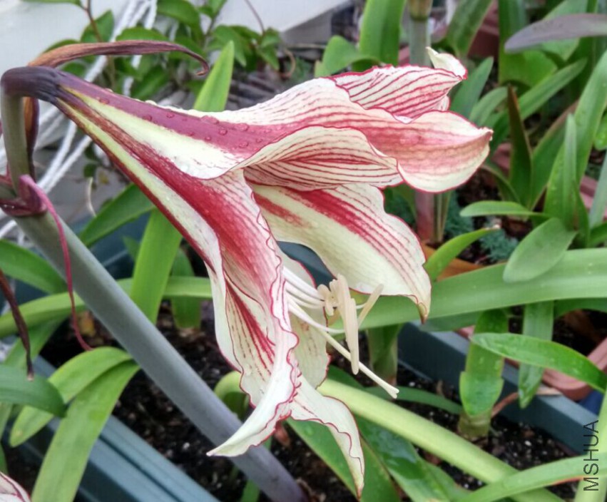 QQͼƬ20150429085553.jpg