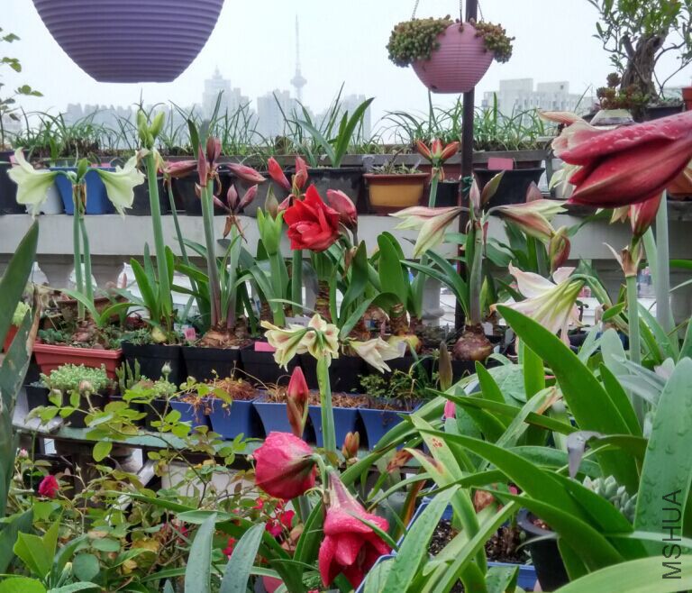 QQͼƬ20150429085648.jpg