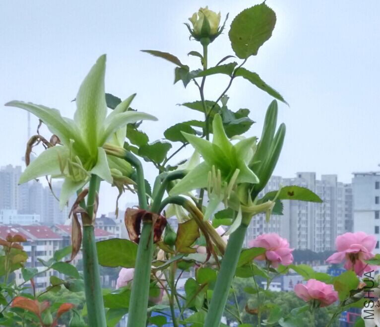 QQͼƬ20150429085737.jpg