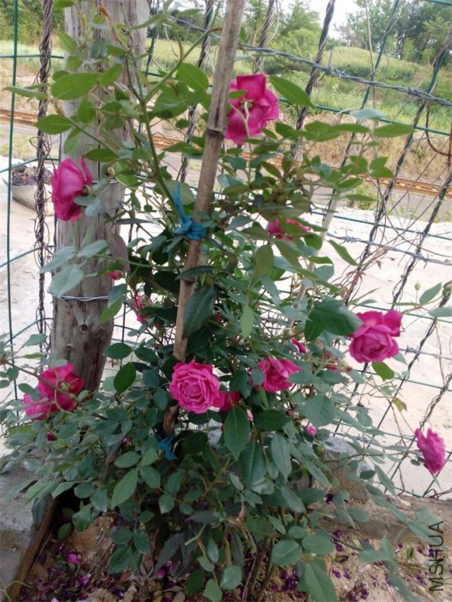 QQͼƬ20150429132246.jpg