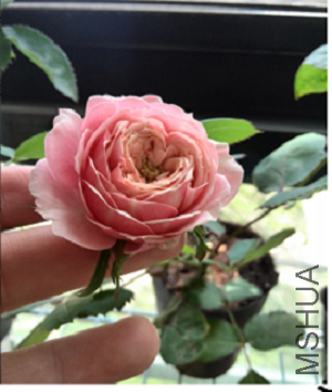 QQ��ͼ20150429150826.png