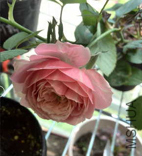 QQ��ͼ20150429150815.png