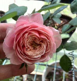 QQ��ͼ20150429150759.png