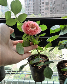 QQ��ͼ20150429150728.png