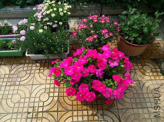 IMG20150427091014.jpg