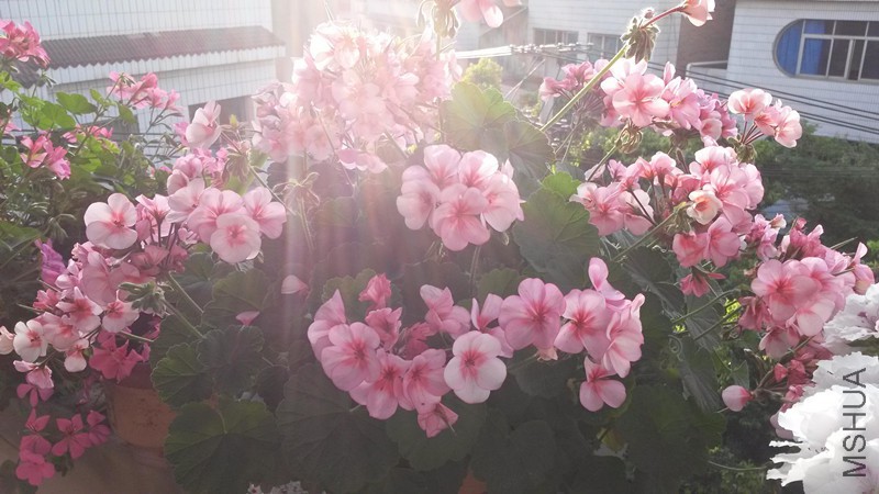 20140501_074617.JPG