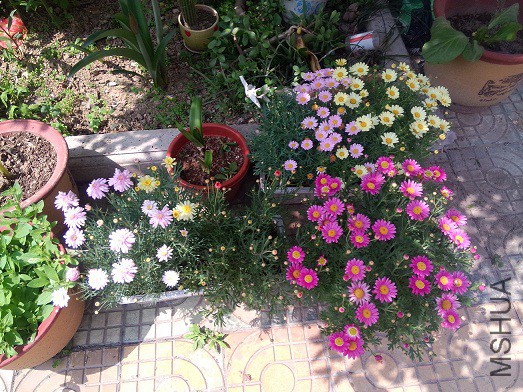 IMG20150429140628.jpg