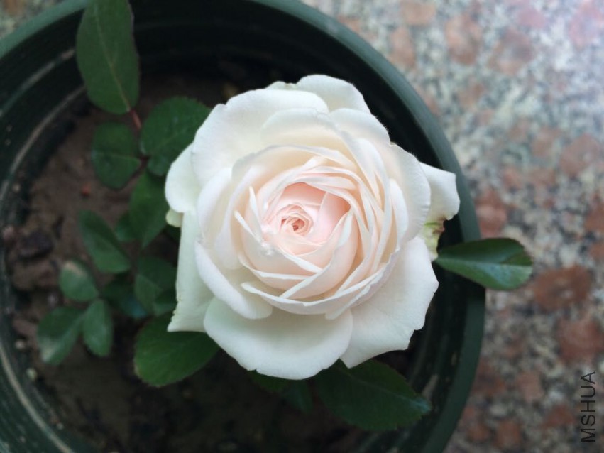 QQͼƬ20150429155336.jpg