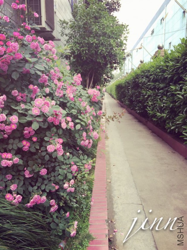 QQͼƬ20150429155319.jpg