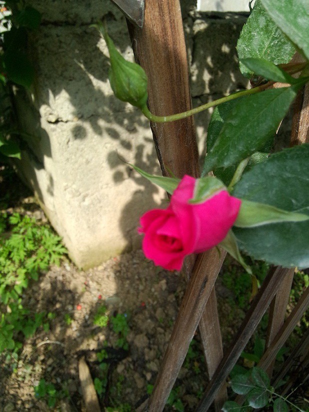 IMG20150427090909.jpg