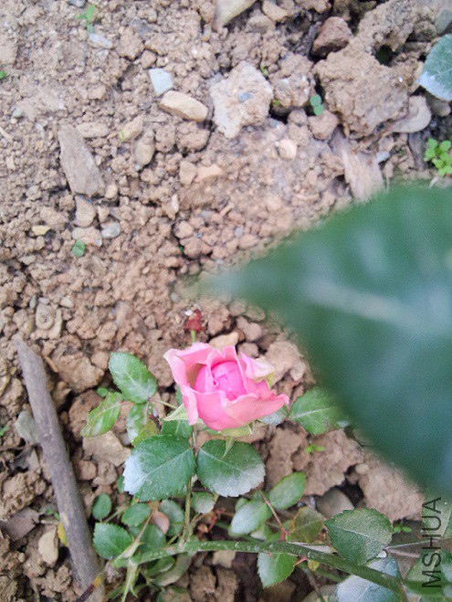 IMG20150427173312.jpg