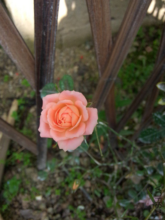 IMG20150428083418.jpg
