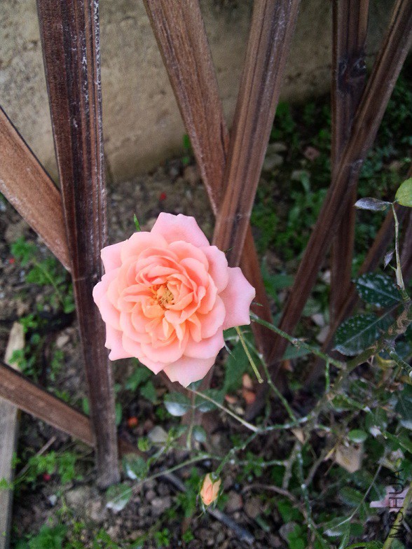 IMG20150428171118.jpg