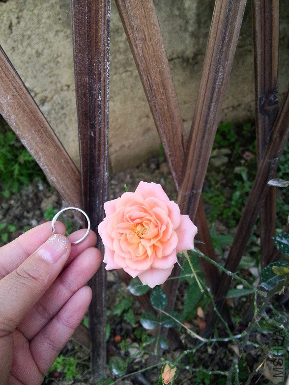 IMG20150428171139.jpg
