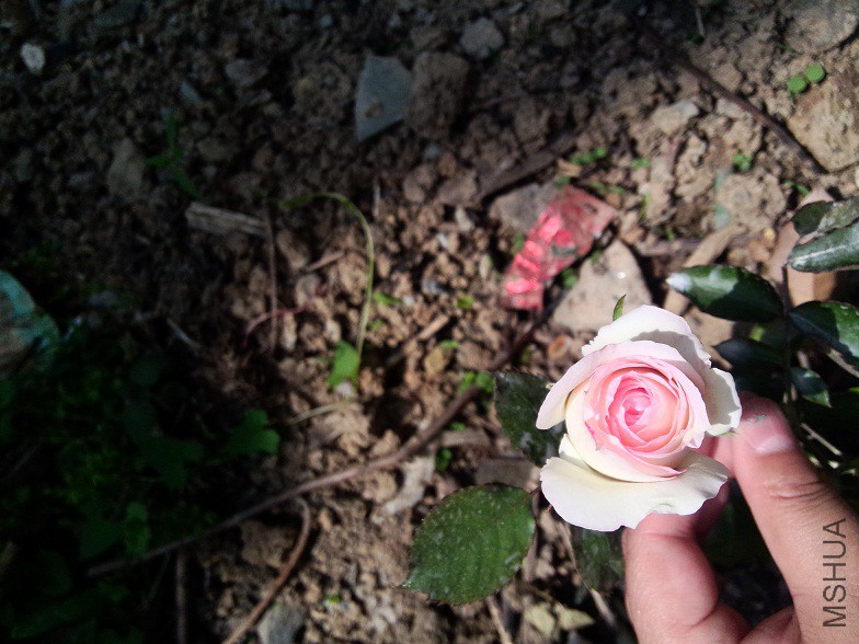 IMG20150429135505.jpg