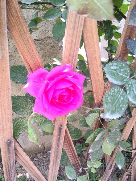 IMG20150429135748.jpg
