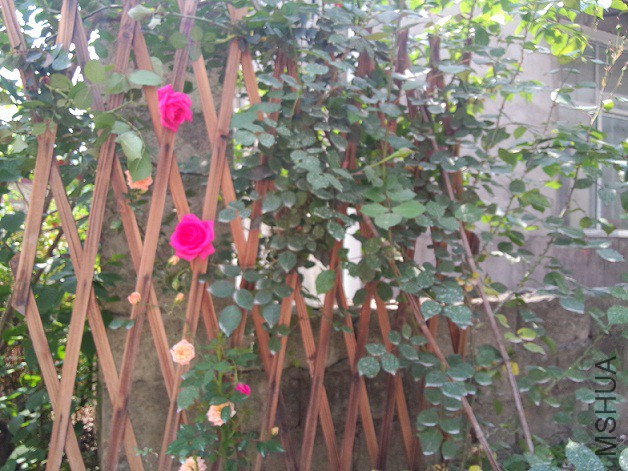 IMG20150429140308.jpg
