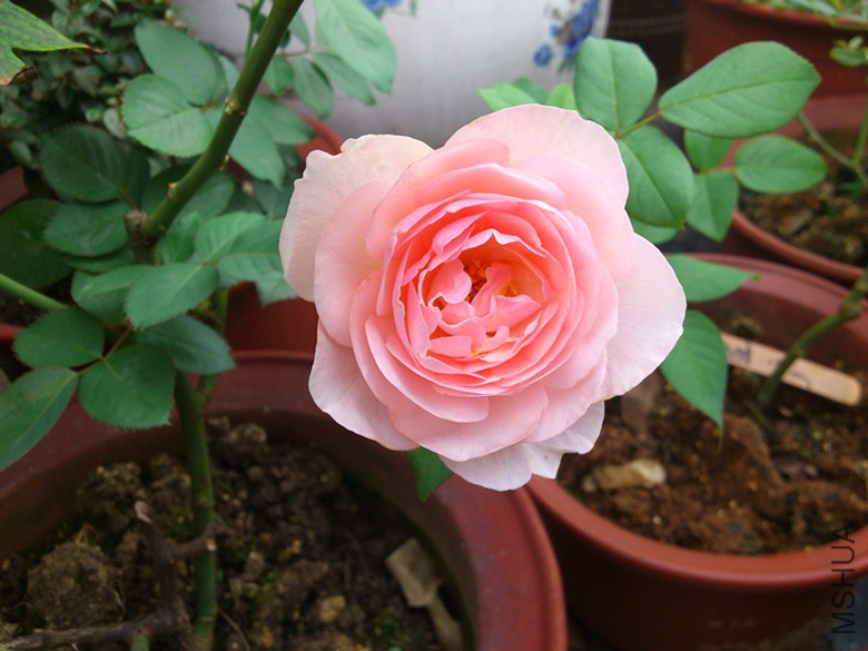 DSC_0373.JPG