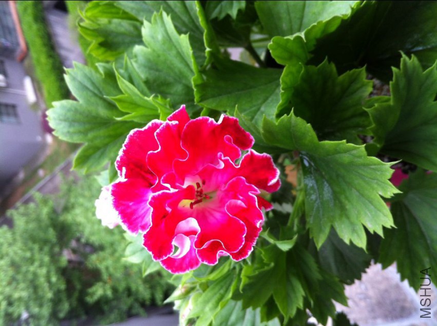 5%[_FB`IMI3XG2GL9SQEVJL.jpg