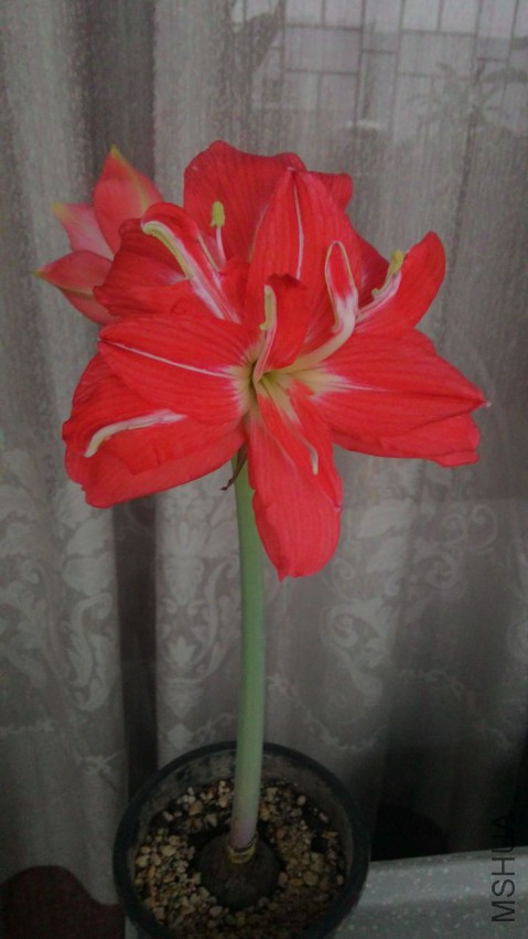 ������15Ƭ�����ɫ�ذ������조��ƽ1�š������״ο���.jpg