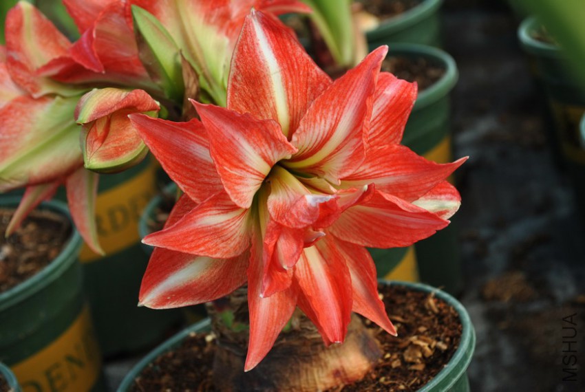 ����С �� (2).jpg