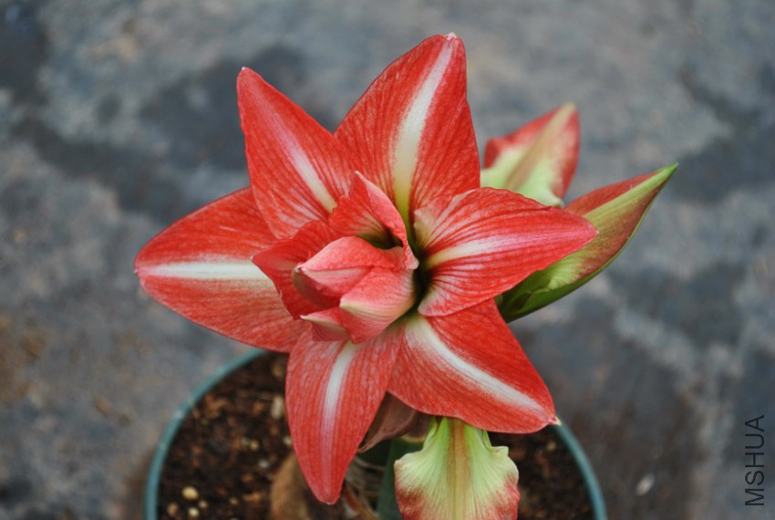 ����С �� (3).jpg