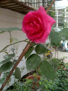 UC_Photo_006.jpg