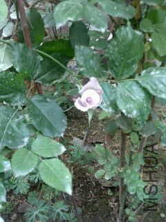 UC_Photo_008.jpg